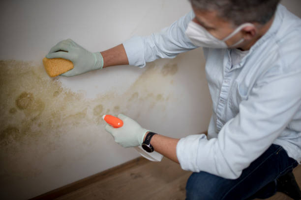 Water Damage Restoration in White Knoll, SC