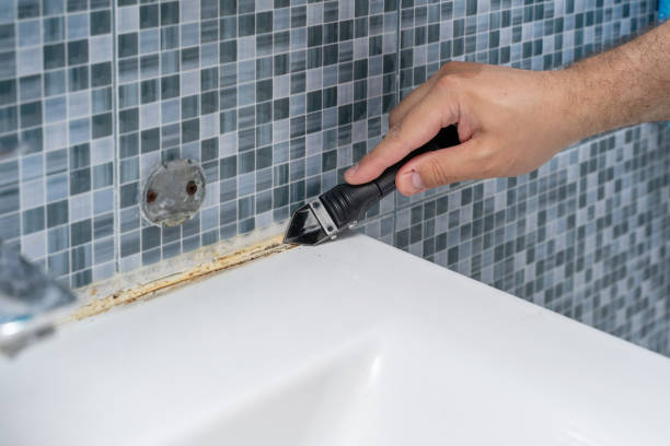 Best Attic Mold Removal  in White Knoll, SC