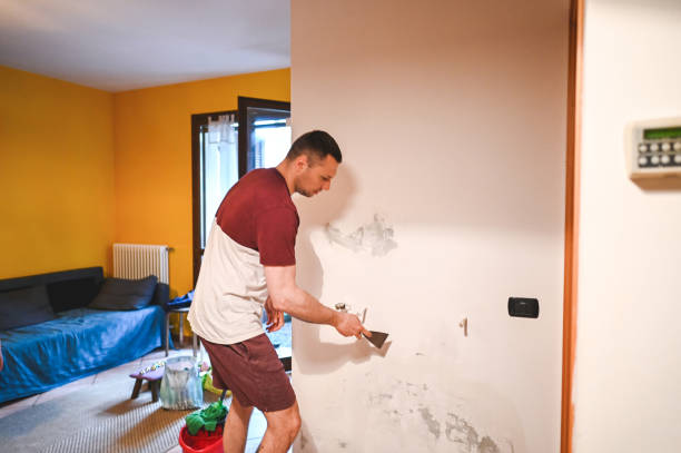 Best Fast Mold Removal  in White Knoll, SC